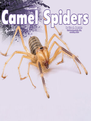 cover image of Camel Spiders